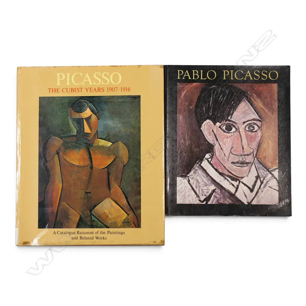 TWO PUBLICATIONS - PICASSO Image 1++